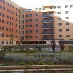 Vivienda Protegida VPP Rivas-Vaciamadrid “EMV Parcela 11”